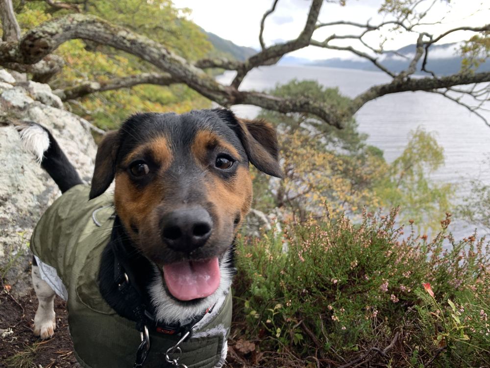 Max grinning on a walk by the water