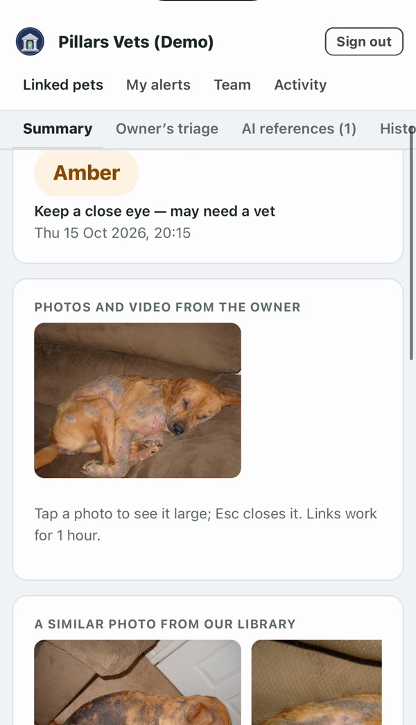 The owner's photo of Rosie's skin next to similar photos from the PetVet247 library